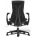 ORIGINAL HERMAN MILLER EMBODY CHAIR