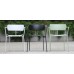 PEDIGREE ARM CHAIR