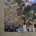 EBOY AMNESTY PIXEL ART POSTER